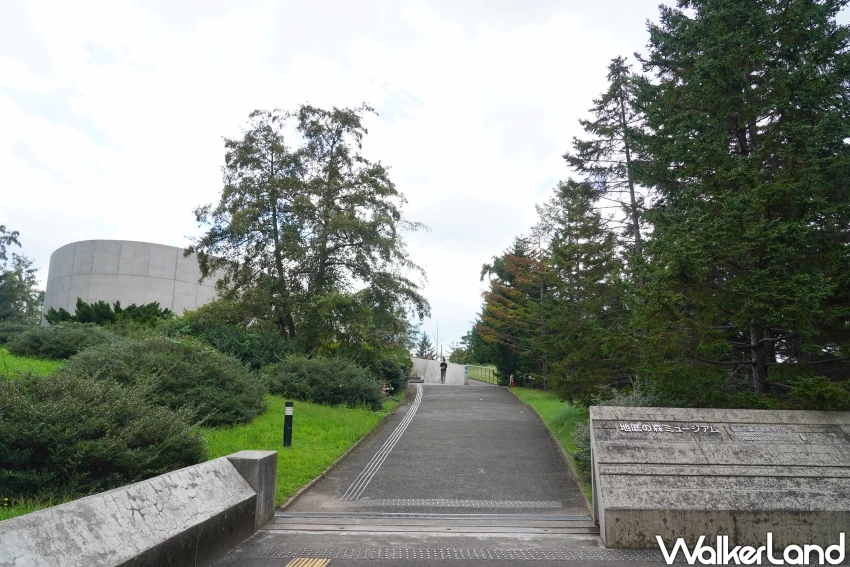 穿越2萬年的仙景景點！地底之森博物館 揭開冰河時期森林記憶，直擊石器時代遺跡。