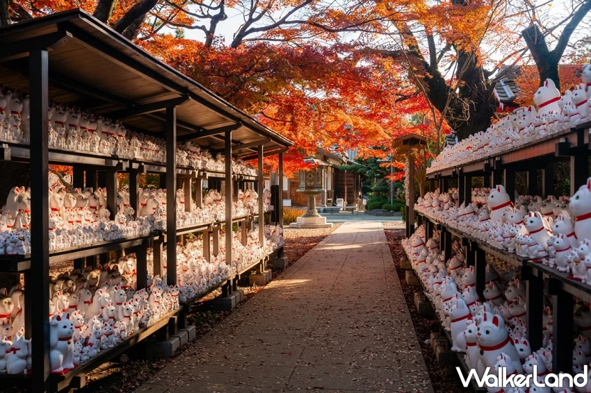 2025秋冬旅遊攻略就看這！易遊網「暢秋旅遊節」線上旅展，9元eSIM、99元饗食天堂餐券、999元日韓機票。