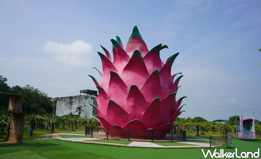 馬來西亞旅遊打卡熱點！HL火龍果生態園 全球最大火龍果建築，火龍果創意料理吃起來。