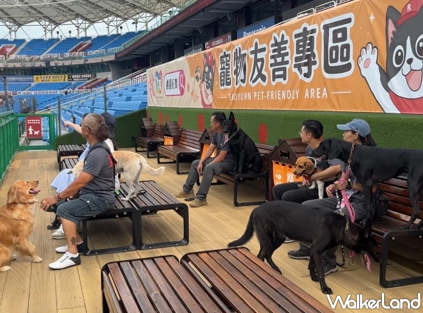 汪喵星球攜手台灣偵搜犬協會！推出2025全民安心捐款行動，支持搜救犬守護家庭團圓。