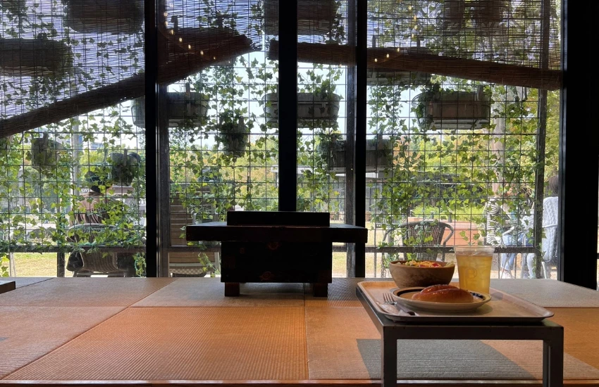 內行人遊京阪！早京都晚大阪，45分鐘穿梭京都古韻與大阪夜色，京阪電車三條雙城散策提案。