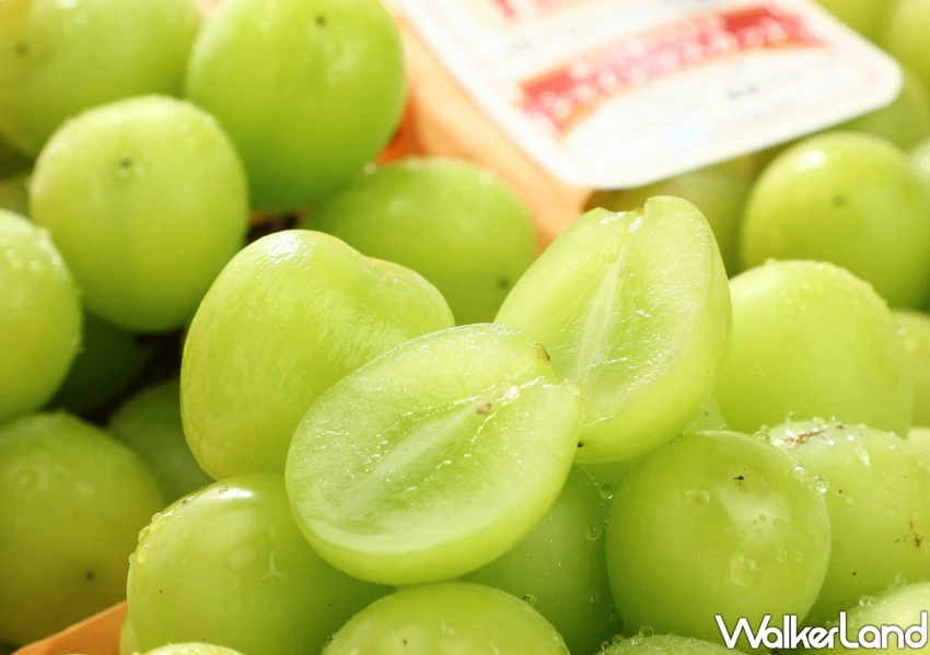 299元日本麝香葡萄衝愛買搶！愛買加1元多1件加碼優惠，婆媽買起來。