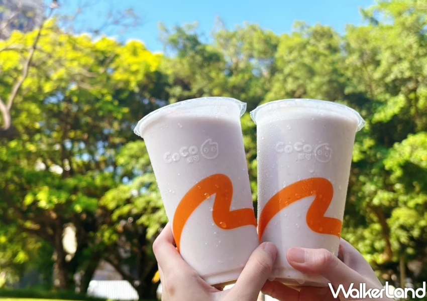 CoCo芋頭買一送一!CoCo芋頭冰沙 仙草凍乳,無咖啡因買一送一開喝。 CoCo芋頭買一送一!CoCo芋頭冰沙 仙草凍乳,無咖啡因買一送一開喝。