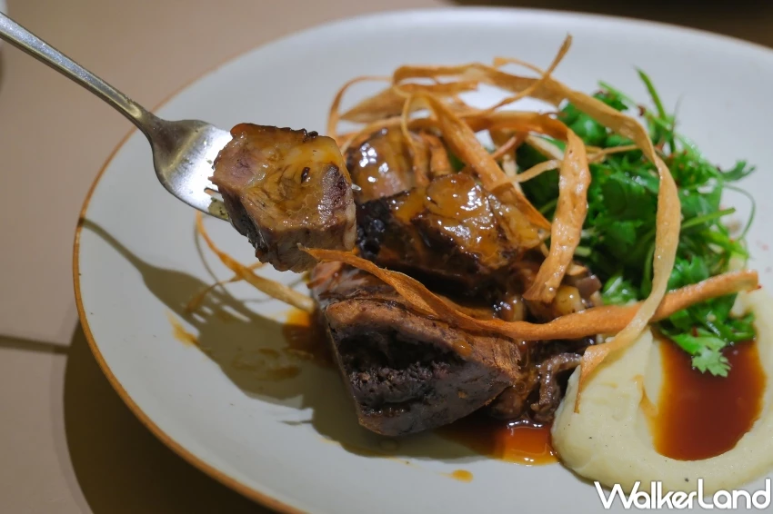 黑白大廚素食生魚片！嵩sung聯名林熙元主廚6大料理，魷魚泡菜冷麵必吃。