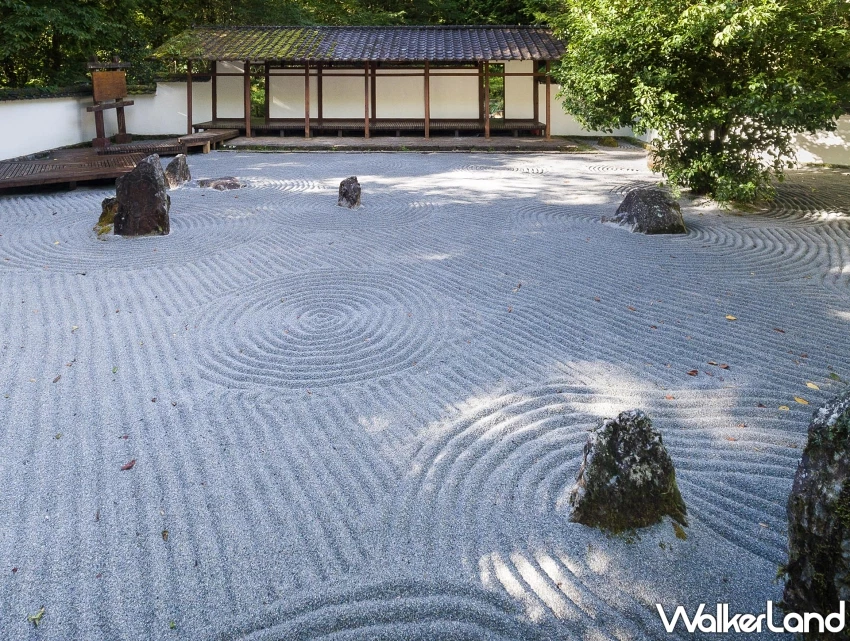 小資族必看！力麗觀光住宿券續住優惠懶人包，日月潭、宜蘭5大飯店最低1599元起再住一晚。