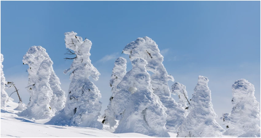 不管幾度,台灣虎航帶你酷玩秋田 不管幾度,台灣虎航帶你酷玩秋田