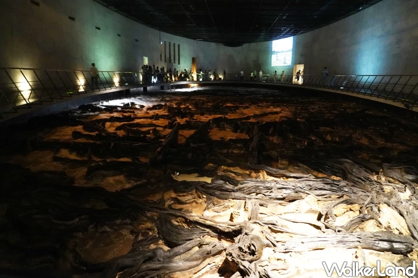 穿越2萬年的仙景景點！地底之森博物館 揭開冰河時期森林記憶，直擊石器時代遺跡。