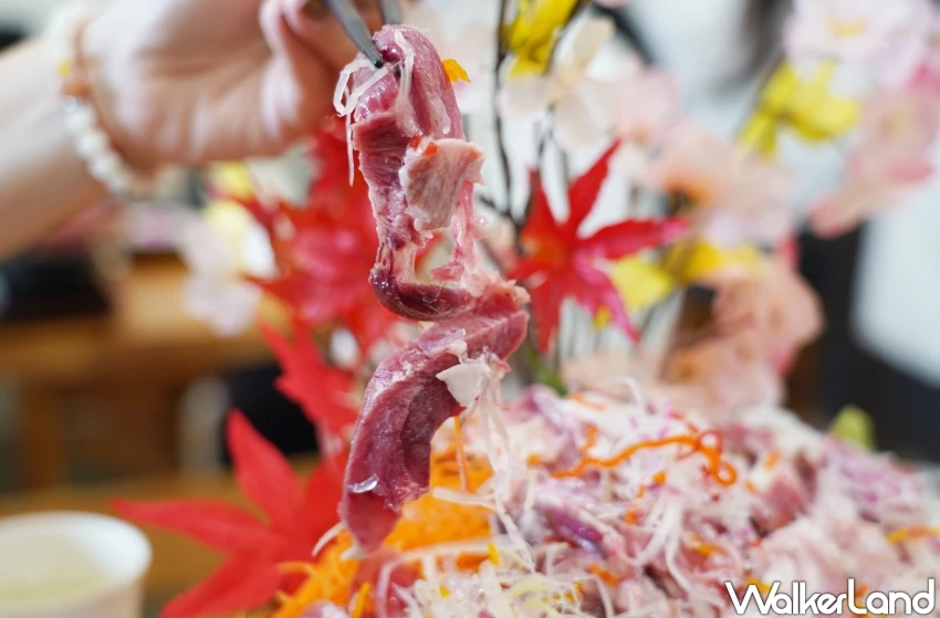 山形美食推薦!海鮮控不能錯過的酒田鮪魚名店小松まぐろ専門店,浮誇鮪魚頭套餐限量供應。