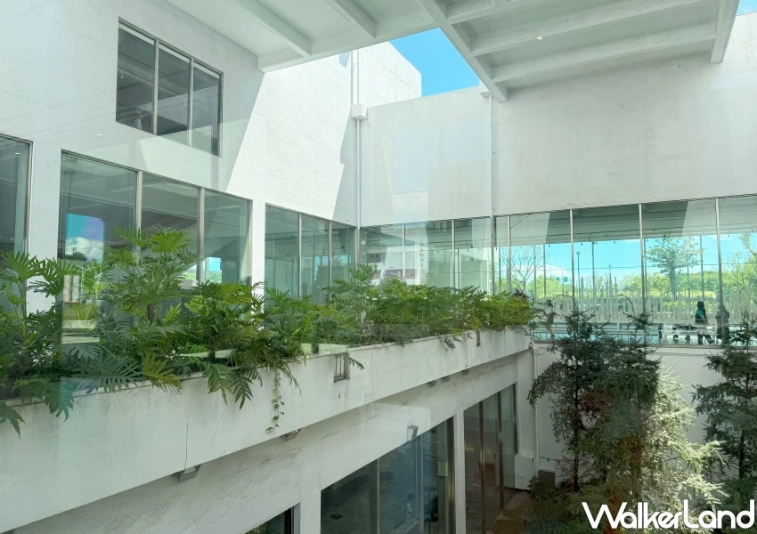 逛北美館展覽玩積木！你的好奇旅程巡迴展首次來台，隱藏版免費逛方法跟上。