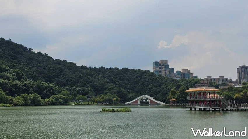 台北內湖自然系行程!走遍2大親水公園、吃隱藏小店美食,大湖公園散步賞景。 / 編輯 沈若瑄 攝影 台北內湖自然系行程!走遍2大親水公園、吃隱藏小店美食,大湖公園散步賞景。 / 編輯 沈若瑄 攝影