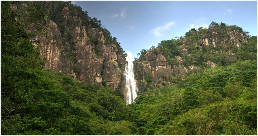 日本南九州登山趣，搭台灣虎航直飛宮崎，六大健行路線全攻略。