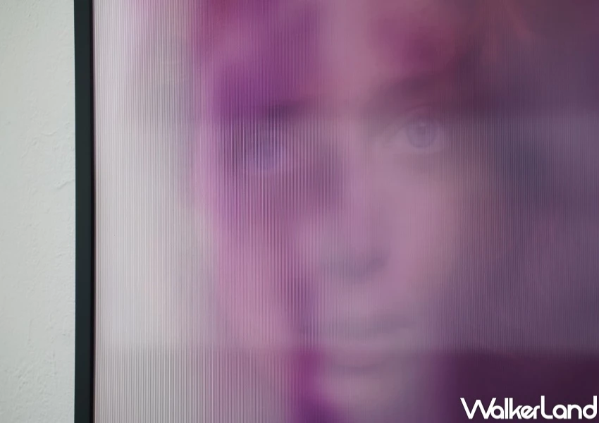 圓山站免費室內景點！免門票3位日本藝術家特展來台，台北展覽下雨天照逛。