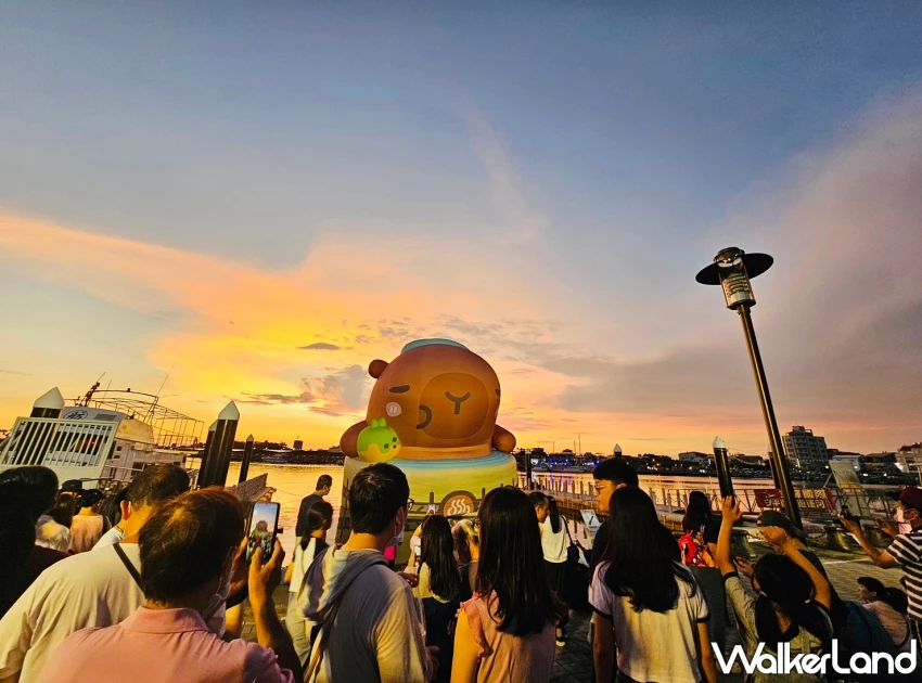 2025臺南安平景點「卡比胖拉」萌翻天！12米巨大水豚現身漁人碼頭，夜間燈光秀與假日市集全攻略。