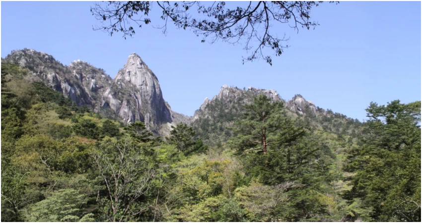 日本南九州登山趣，搭台灣虎航直飛宮崎，六大健行路線全攻略。