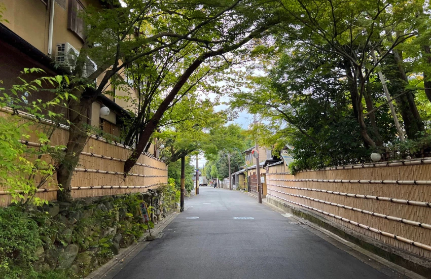 不張揚卻很雋永，走一趟京都左京區的家常料理食堂。