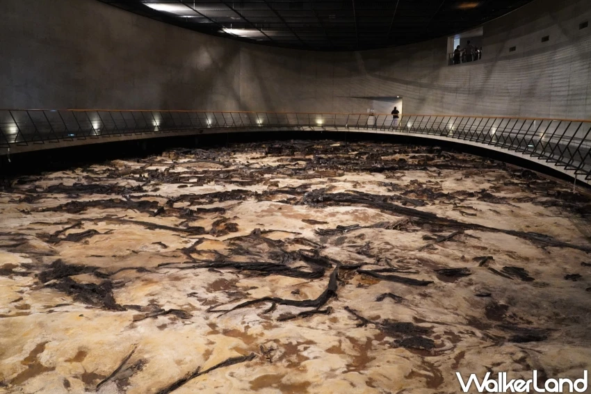 穿越2萬年的仙景景點！地底之森博物館 揭開冰河時期森林記憶，直擊石器時代遺跡。