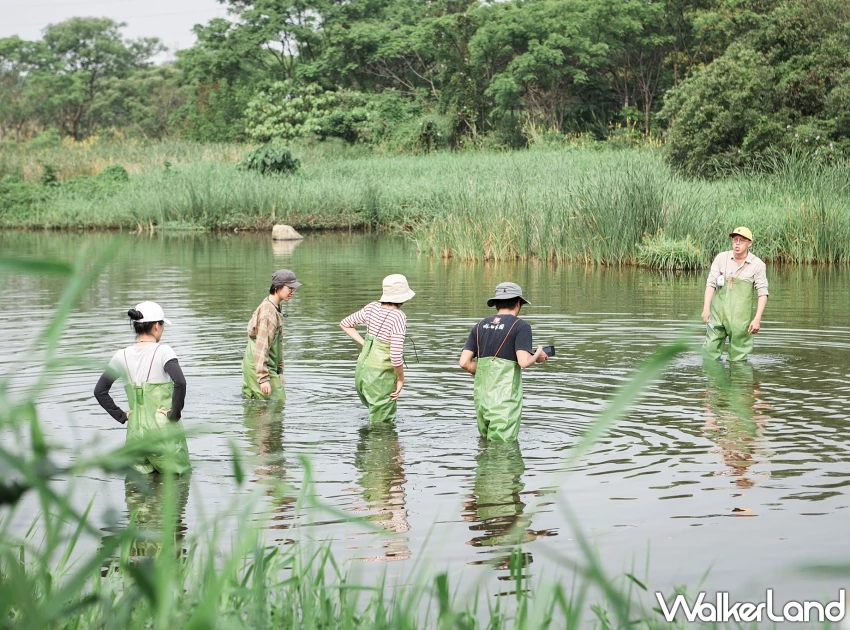 2025濕地藝術季全攻略！14件環境藝術作品、互動市集、展期地點，一次掌握。
