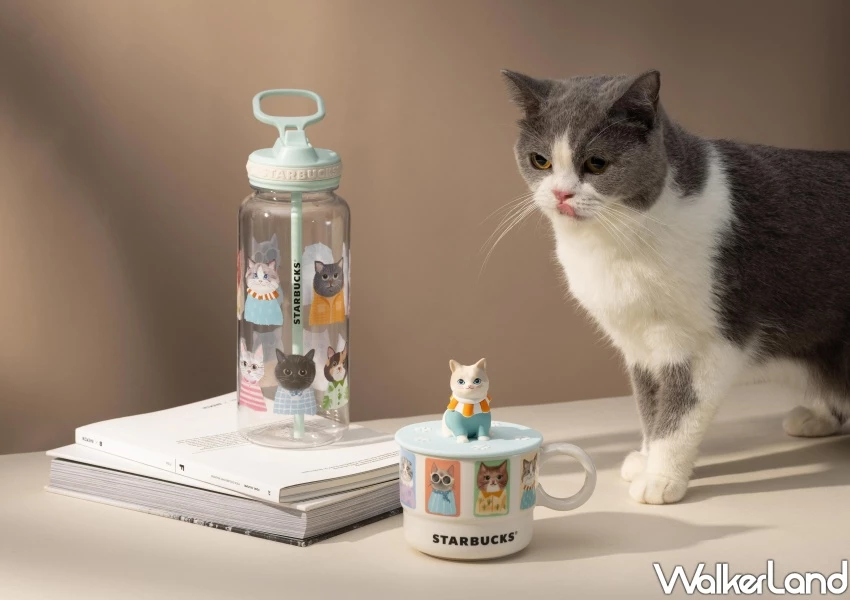 星巴克黑貓杯0元換！黑貓杯 黑貓娃包新品曝光，開賣日 售價貓奴必看。
