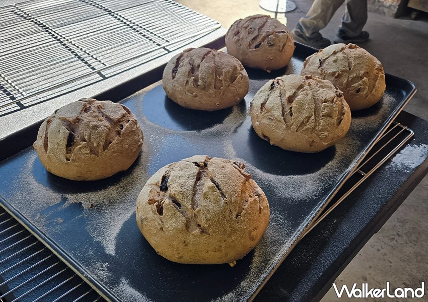 萬里咖啡廳推薦!此木窯 窯烤麵包專門店,一週只賣三天、現烤出爐超香。 萬里咖啡廳推薦!此木窯 窯烤麵包專門店,一週只賣三天、現烤出爐超香。