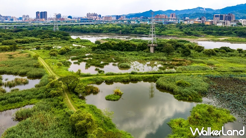 新北綠色旅遊攻略！坪林、三峽、雙溪3條秘境路線，週末就出發體驗最真實的在地文化。