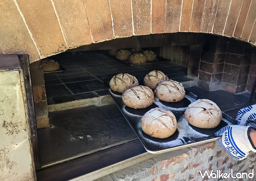萬里咖啡廳推薦!此木窯 窯烤麵包專門店,一週只賣三天、現烤出爐超香。 萬里咖啡廳推薦!此木窯 窯烤麵包專門店,一週只賣三天、現烤出爐超香。