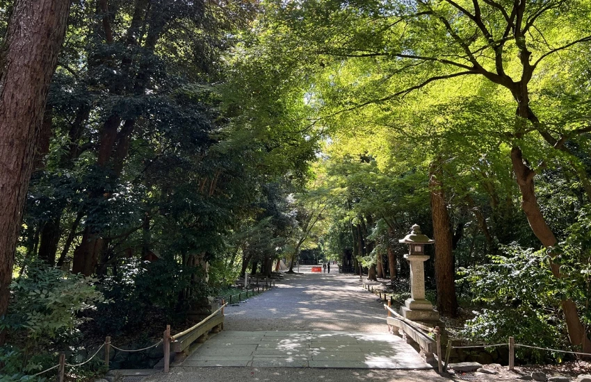 屬於京都人的降溫美學，距離河原町15分鐘車程，走訪京都上古森林「糺之森」，連結下鴨神社與河合神社的參拜散策。