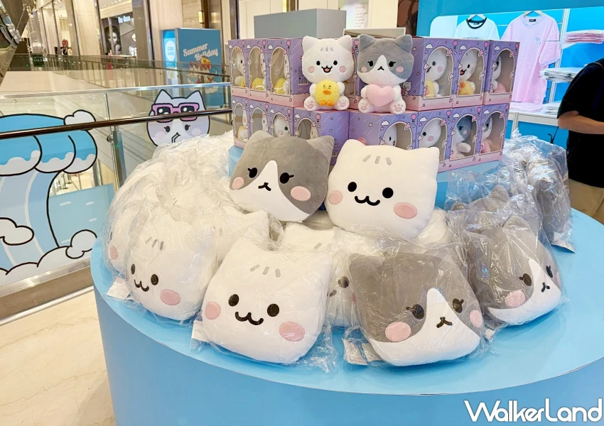 SHINee泰民貓貓快閃店！信義區GGUNG&DAENG快閃店，新周邊 整理券領法先看。