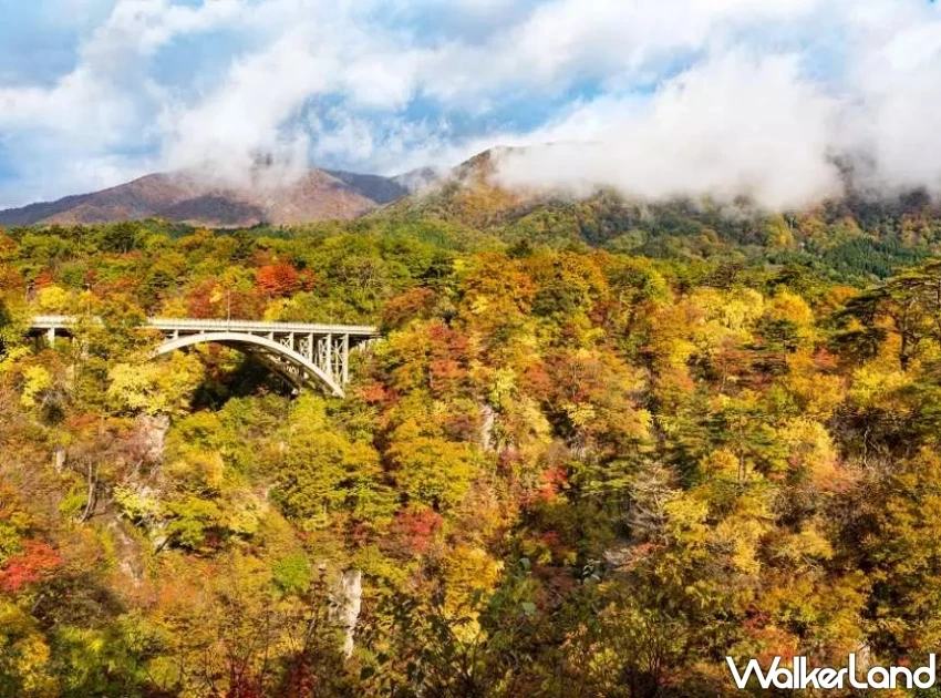 KKday限時機票優惠96折！日本賞楓紅葉團、韓國愛寶樂園與東南亞海島超值行程。