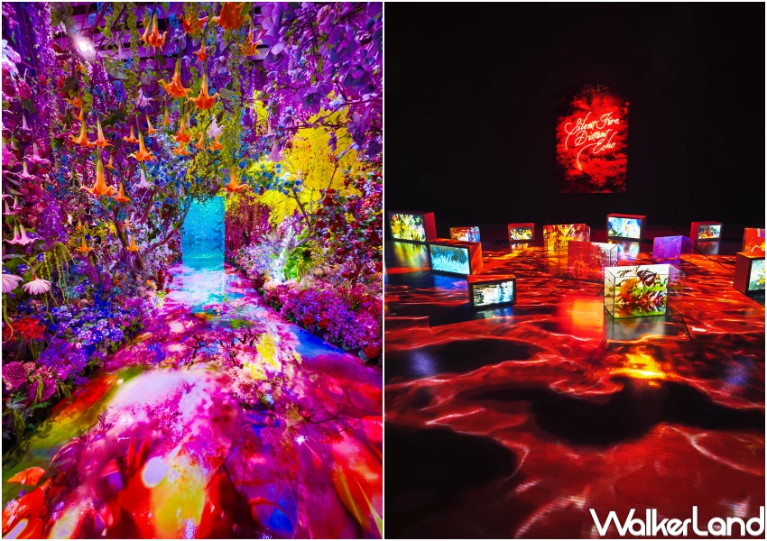 蜷川實花展來台！華山蜷川實花沉浸式光影展預售票開搶，8大展區必拍搶先看。