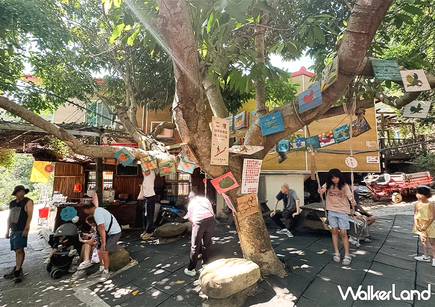 新竹柿餅季來了!味衛佳柿餅觀光農場 整片柿餅海超好拍,30元柿餅冰必吃。 新竹柿餅季來了!味衛佳柿餅觀光農場 整片柿餅海超好拍,30元柿餅冰必吃。