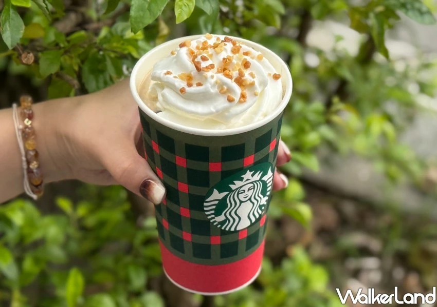 星巴克抱抱灰貓提袋搶！太妃核果那堤這2天搶先喝，120款耶誕周邊欠買。