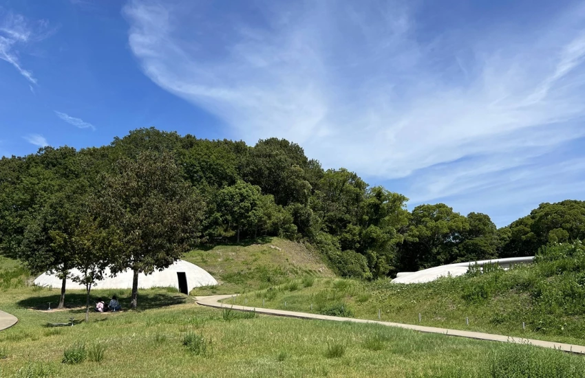 超越觀光的藝術島嶼!在瀨戶內豐島,連水珠、稻田、橄欖豬都能成為一場藝術。 超越觀光的藝術島嶼!在瀨戶內豐島,連水珠、稻田、橄欖豬都能成為一場藝術。