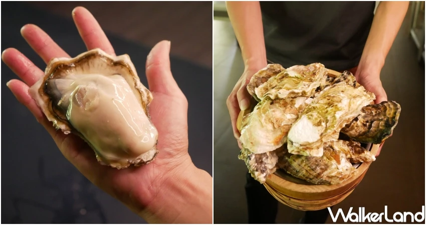 火鍋吃到飽送生蠔！千葉火鍋11月優惠送生蠔 免費哈根達斯，加碼翻轉布丁任你吃。