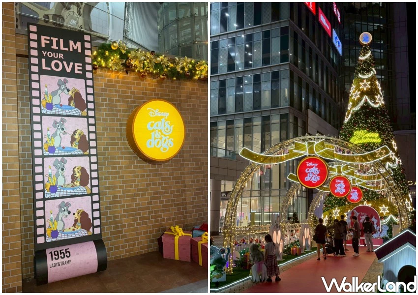 迪士尼萌寵聖誕樹試燈！漢神巨蛋妙妙貓領軍聖誕打卡，50元加購周邊。