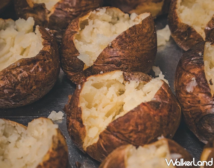 橘子集團員工餐廳「普橘島」太狂!竟把夜市小吃變頂級下午茶,獨家「海鮮起司馬鈴薯」食譜做法與罪惡醬汁大公開。 橘子集團員工餐廳「普橘島」太狂!竟把夜市小吃變頂級下午茶,獨家「海鮮起司馬鈴薯」食譜做法與罪惡醬汁大公開。