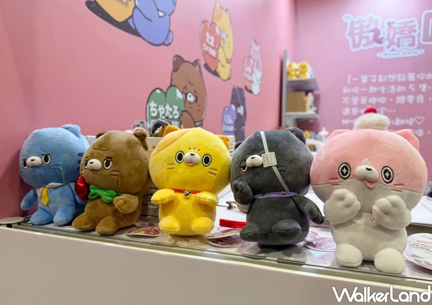 2025文具展來了！文具展5大主題展區連逛4天，日本超萌傲嬌貓必買周邊來台。
