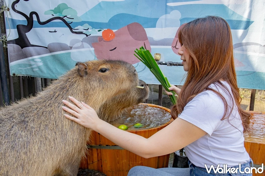 宜蘭綠舞線上旅展Villa住宿券現省4萬元、家庭房每人不到2000元,再抽5萬元豪華湖畔Villa住宿券。 宜蘭綠舞線上旅展Villa住宿券現省4萬元、家庭房每人不到2000元,再抽5萬元豪華湖畔Villa住宿券。