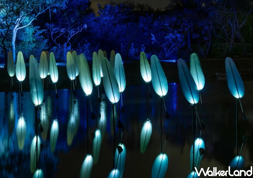 2025白晝之夜嗨翻圓山！台北3大藝術節免費玩，12小時不斷電白晝之夜先玩。