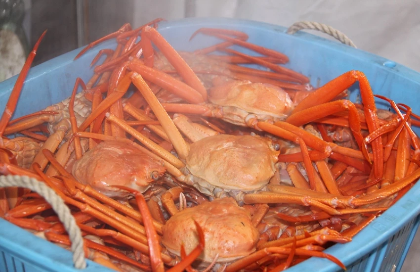 紐約時報也推薦，2026年4月前限定，富山全包式度假村溫泉、美食、住宿，總共不到3千台幣。