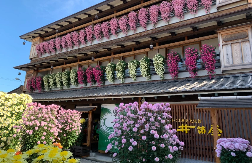 日本最古老菊花祭！茨城笠間稻荷神社第118屆菊祭11月24日免費入場，菊人形、和傘打卡點美炸了。