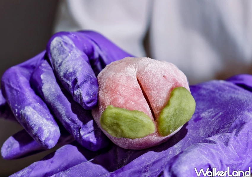 高雄伴手禮推薦!睿家米大福鹽埕店高雄鹽埕 壽桃麻糬夯翻天,拜土地公也能這麼萌。 高雄伴手禮推薦!睿家米大福鹽埕店高雄鹽埕 壽桃麻糬夯翻天,拜土地公也能這麼萌。