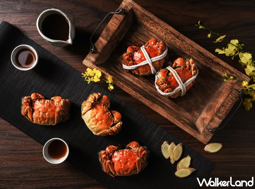 2025台北9大秋蟹美食地圖!清蒸大閘蟹、奢華帝王蟹與濃醇沙公,優惠套餐與訂位資訊一次看。 2025台北9大秋蟹美食地圖!清蒸大閘蟹、奢華帝王蟹與濃醇沙公,優惠套餐與訂位資訊一次看。