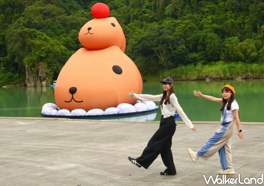 12米碧潭水豚君呆萌點燈!碧潭煙火秀 市集免費玩,新店人先卡位。 12米碧潭水豚君呆萌點燈!碧潭煙火秀 市集免費玩,新店人先卡位。