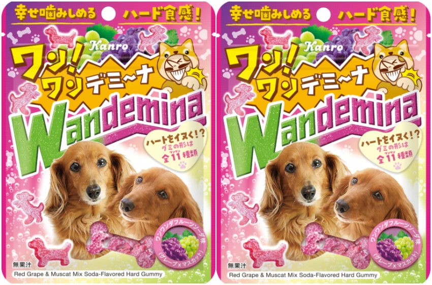 全家「汪汪嘉年華」萌犬甜點與零食登場，柴犬臉饅頭領軍，狗狗控荷包又要失守。