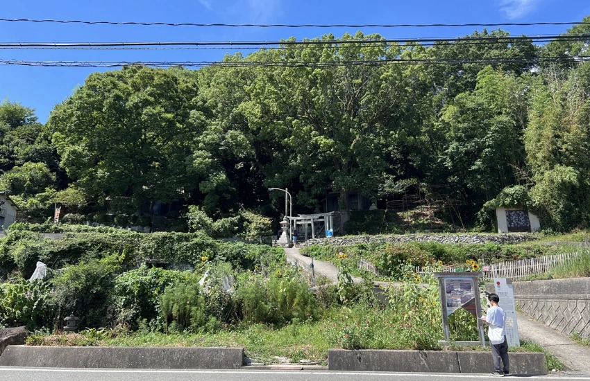 超越觀光的藝術島嶼!在瀨戶內豐島,連水珠、稻田、橄欖豬都能成為一場藝術。 超越觀光的藝術島嶼!在瀨戶內豐島,連水珠、稻田、橄欖豬都能成為一場藝術。
