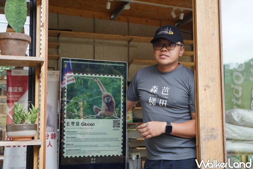 吉隆坡特色美食餐廳推薦!森芭梯田:山林間品嚐田園料理、體驗露營生活