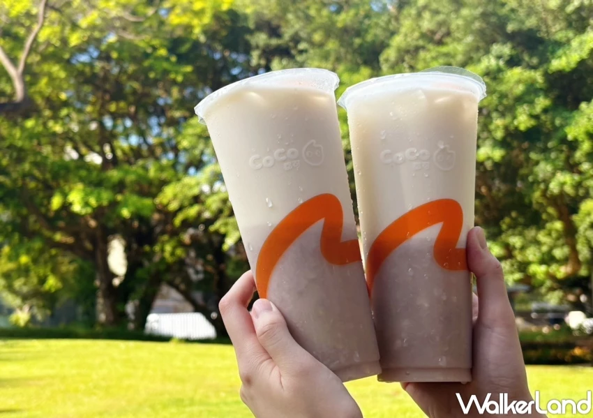 CoCo珍奶買一送一！CoCo大杯珍奶買一送一，雙倍濃芋奶綠雙杯100元開喝。