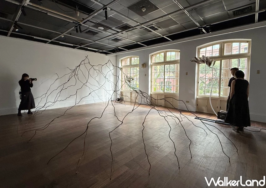 中山站展覽推薦！台北當代藝術館宇宙寫生15件作品登場，沉浸式森林宇宙必拍。