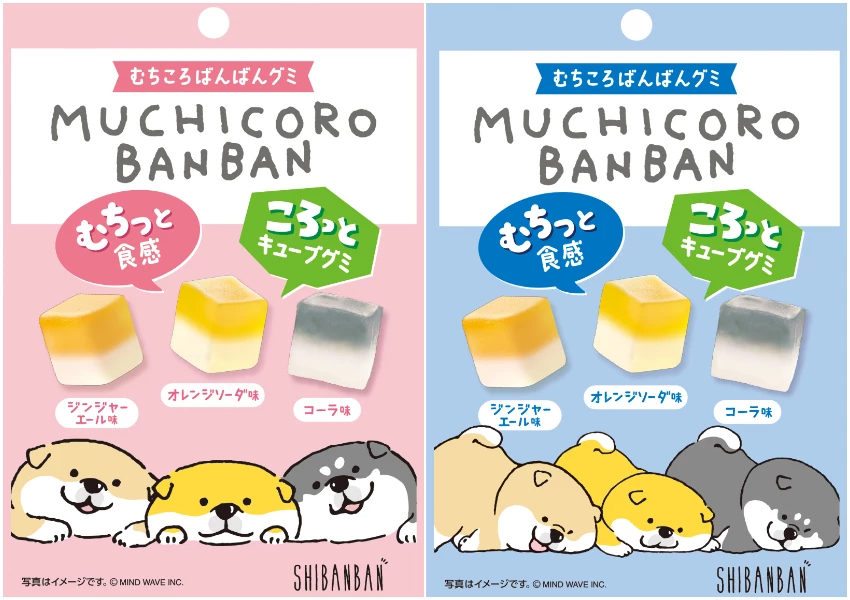 全家「汪汪嘉年華」萌犬甜點與零食登場，柴犬臉饅頭領軍，狗狗控荷包又要失守。