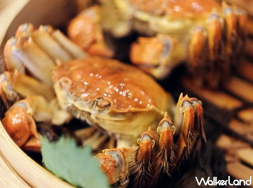2025台北9大秋蟹美食地圖!清蒸大閘蟹、奢華帝王蟹與濃醇沙公,優惠套餐與訂位資訊一次看。 2025台北9大秋蟹美食地圖!清蒸大閘蟹、奢華帝王蟹與濃醇沙公,優惠套餐與訂位資訊一次看。
